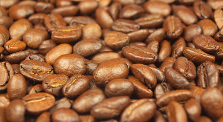 Background made of coffee seeds