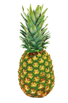 Ananas 3 11 09