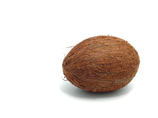 Coconut