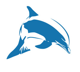 dolphin © Anar Musayev