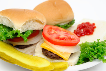 Hamburger And Pickles