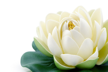 Fleur de lotus - 18360030