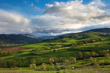 Obraz premium Primavera in collina