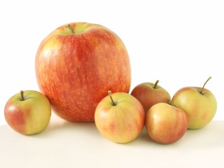 Fototapeta na wymiar various size of apples