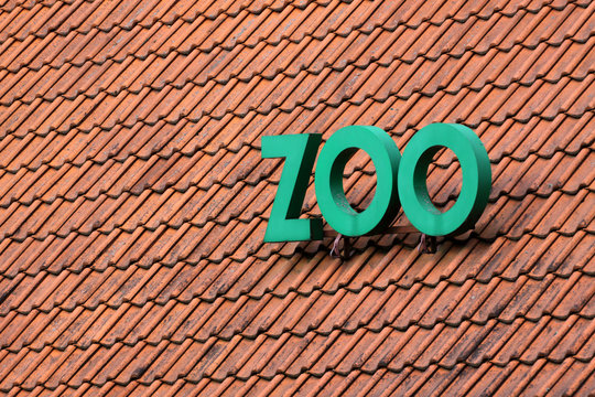 Zoo