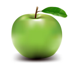 Apple Vector