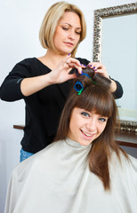 Fototapeta premium hair stylist in work