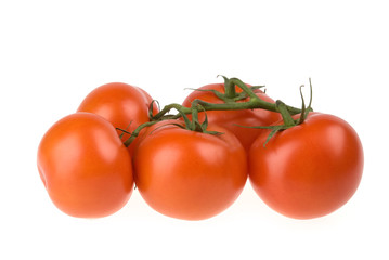 tomatos isolated on white