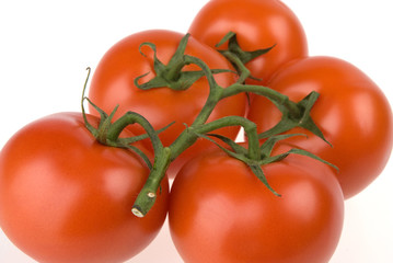 Fresh tomatoes