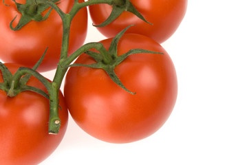 red tomatoes