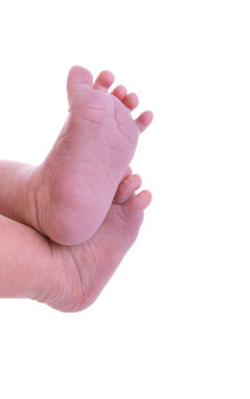 pieds de b&eacute;b&eacute; isol&eacute;s sur fond blanc