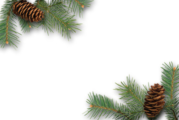 fir-tree branch with a cone