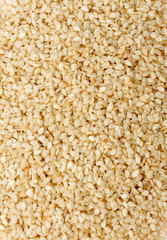 Close shot of a group of sesame seeds