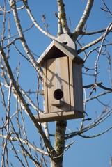 Wooden bird house