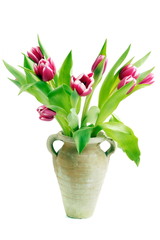 Tulpen