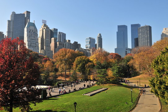 Central Park in deep autumn.