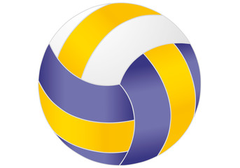 palla da pallavolo