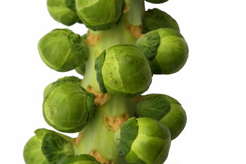 Brussels sprouts