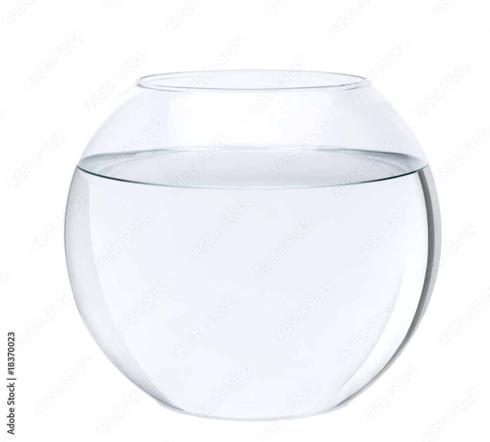 Wall mural Empty fish bowl with water in front of white background - Wall murals