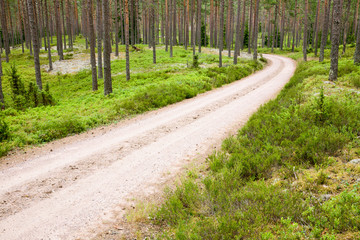 Naklejka premium Gravel road