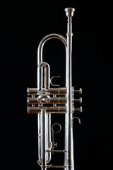 trumpet detail on black