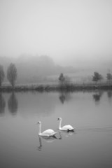 Herbst © Christian Jung