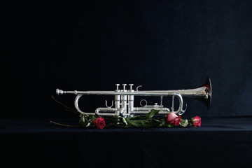 trumpet on black background with dried roses