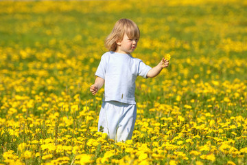 boy with a dandelion