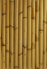 Textur-Serie: Bambus