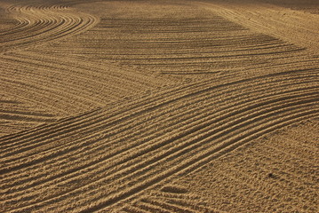 Naklejka premium Ackerlinien