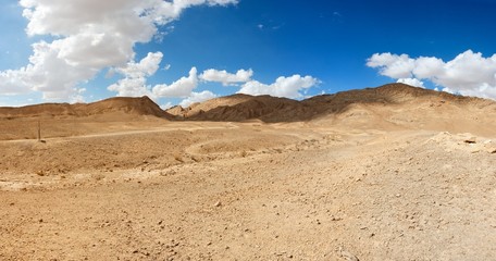 Desert landscape