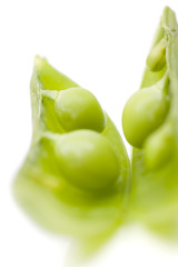 fresh peas on white background