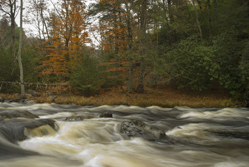Flowing Bushkill Creek