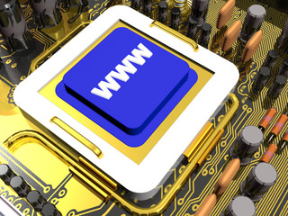 WWW