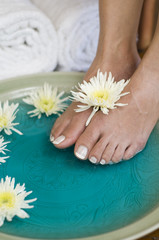 Obraz na płótnie Canvas Foot bath with herbs and flowers 3