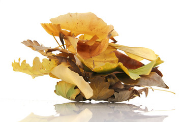 Bouquet de feuilles d'automne
