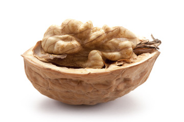 noix