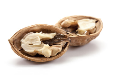 noix