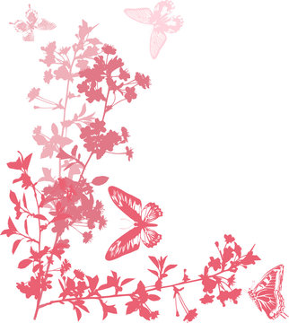 pink cherry flowers with butterflies