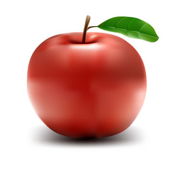 Apple Vector