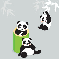 Obraz na płótnie Canvas Panda