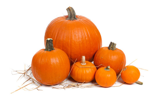 Assorted pumpkins with straw on white