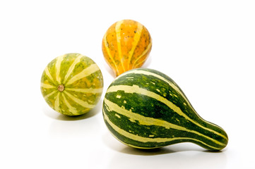 Calabazas de temporada 4