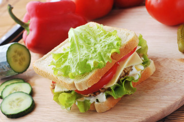 Fototapeta na wymiar sandwich with cutlet