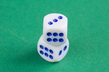 White dices