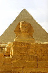 Sphinx in Cairo, Egypt