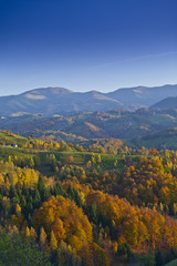 Autumn foliage and deep blue sky in the mountains