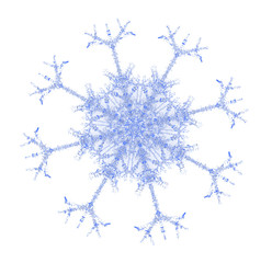 Blue Snowflake, Blocks