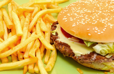 delicious cheeseburger with fries