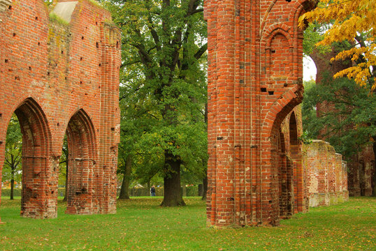 Greifswald Kloster - Greifswald Abbey 11